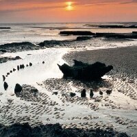 Bronze Age structure found on the foreshore- 'Seahenge', Holme next the Sea, Norfolk.