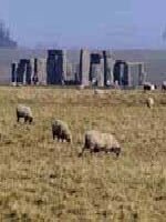The Stonehenge and Avebury grass restoration program is a new initiative for the World Heritage Site. Funded by a special Countryside Stewardship Scheme from DEFRA, it is aimed at stopping plough damage on archaeological remains and enhancing the setting